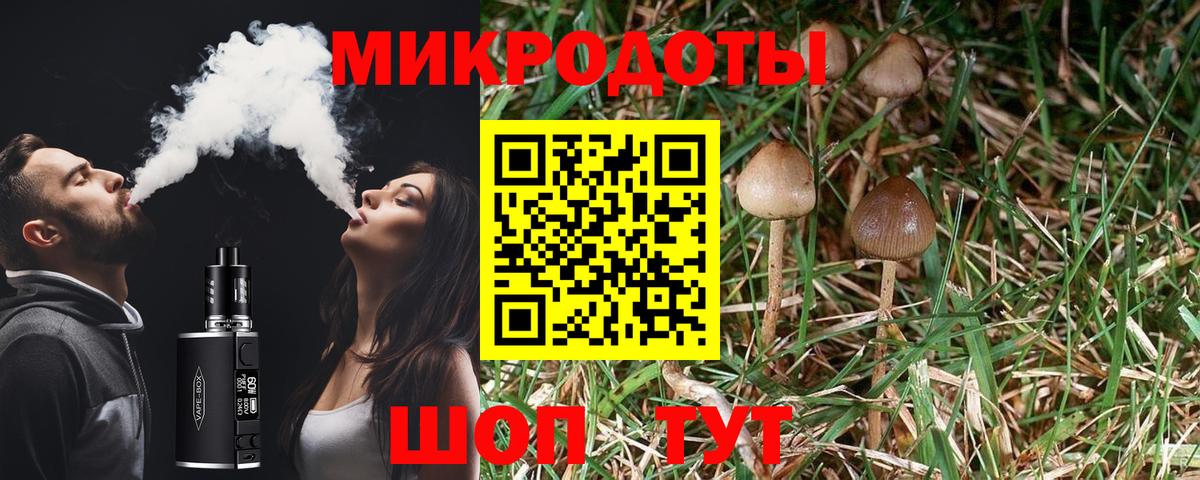 Майкоп  Псилоцибиновые грибы Psilocybine cubensis  Вход с VPN 
