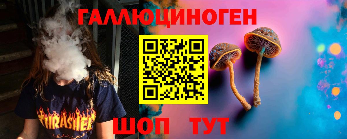 Псилоцибиновые грибы ЛСД Майкоп