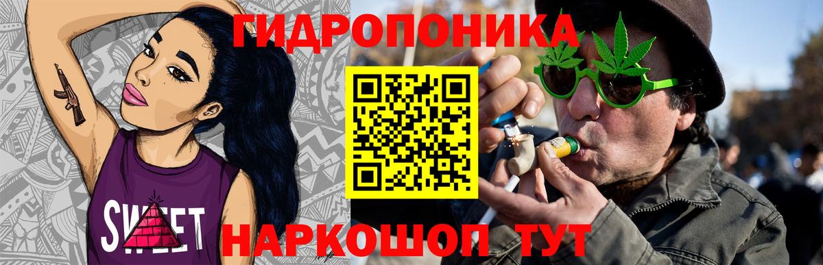 Марихуана сатива Майкоп
